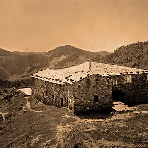  Alloggio per agriturismo Degli Olivi Italia