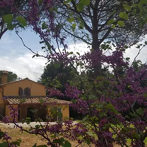  Villa Il Montedoro Italia